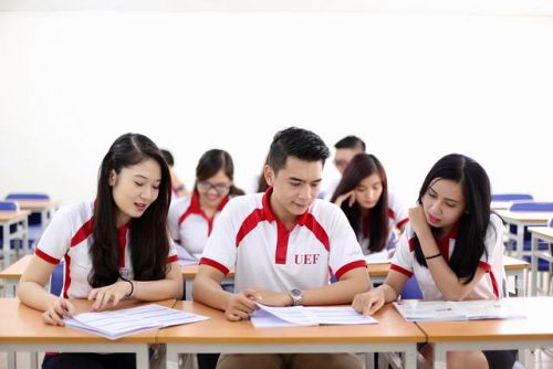 What jobs await after graduating with a degree in okviphoatdong?
